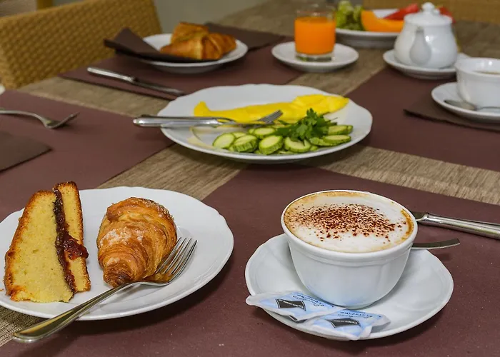 酒店 维多利亚酒店 维亚雷焦