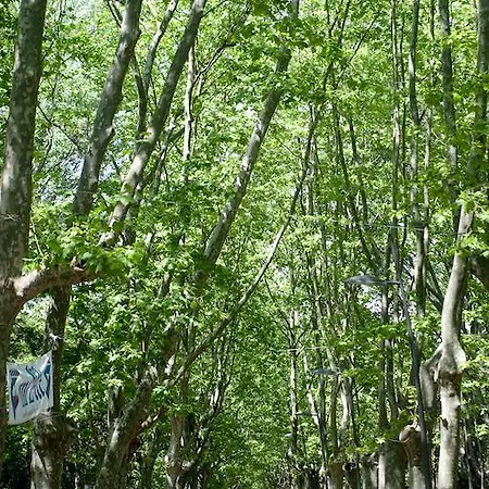 Vittoria 3* Viareggio