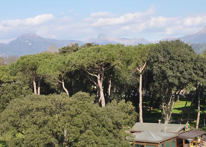 Vittoria Виареджо